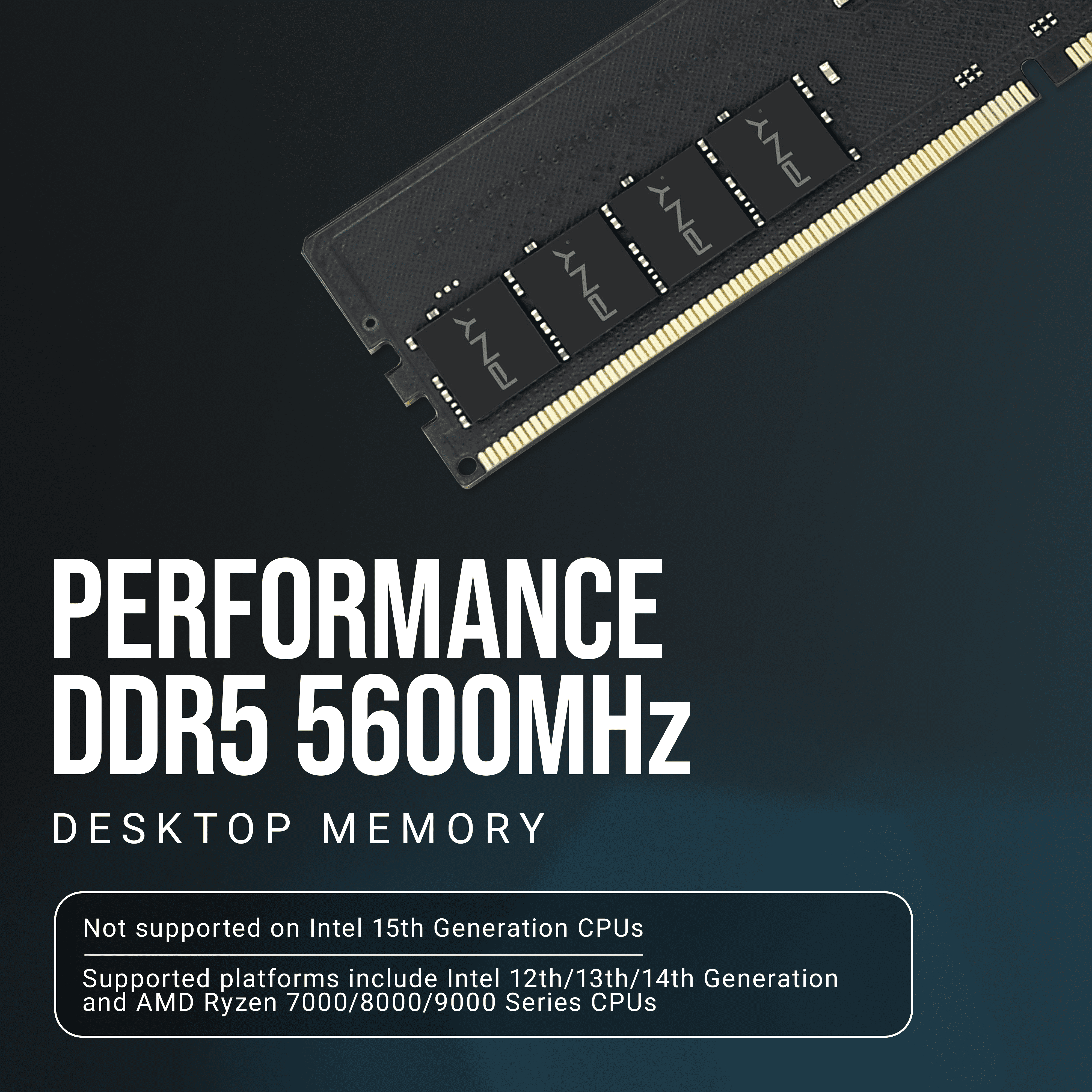 PNY Performance 16GB (2x8GB) DDR5 RAM 5600MHz (PC5-44800) - CL46