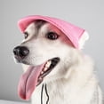 thumbnail image 6 of BT Bear Dog Hat with Ear Holes, Dog Baseball Mesh Cap, Adjustable Summer Travel Sport Hat For Small Medium Dogs Pink S, 6 of 6