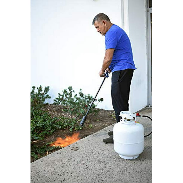Weed torch near me deals