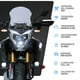 thumbnail image 5 of Motocicleta Adventure Vento Alpina 300 Gris 2026, 5 of 8