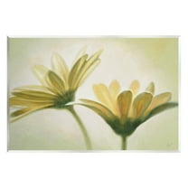 Stupell Industries Two Daisies Painting Botanical & Floral Painting Unframed Art Print Wall Art, 19 x 13