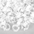 thumbnail image 1 of unbranded 100Ud Anillos Para Pies De Legible Material ABS Para Cría Y Carrera, 1 of 8