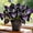 Hosta-A, variant on 500 pcs Butterfly Flower Hostas For Planting Cultivation Granules-(Non-Artificial)-Bloom Year After Year-Fast Growing, Home Decoration-Beautiful Gift Garden-Ornamental-Premium Garden Stakes