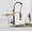 BLACK GOLD, variant on Blackend Spring Kitchen Faucet Pull Out Side Sprayer Dual Spout Single Handle Mixer Tap Sink Faucet 360 Rotation Kitchen Faucets