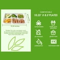 thumbnail image 3 of 500 Pack 5 Compartment Plates, 100% Compostable Paper Plate, 10.25x8.5 inch Disposable School Lunch Trays, Eco-Friendly Bagasse Plates for School Lunch, Buffet, and Party, Perfect for Kids, 3 of 6