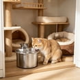thumbnail image 1 of Automatic Pet Water Dispenser with Stainless Steel Basin, 308 ml Capacity, Circulating Flow Water System, Multi-Stage Filtration, Quiet USB Powered for Cats and Small Pets, 1 of 6