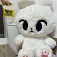 thumbnail image 3 of Peluches de dibujos animados NCT de 10/40cm, Taeyong Jeno, muñecos de peluche Tyongya PANO Jaemin Cheetah Lee, juguetes de peluche, regalos para fanáticos, 3 of 5
