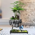 thumbnail image 3 of Almencla Table de Plantes en Pot Carrée avec Rocaille, 3 of 8
