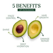 eva+avo Hair Shine Spray with Avocado Oil, 2 fl oz