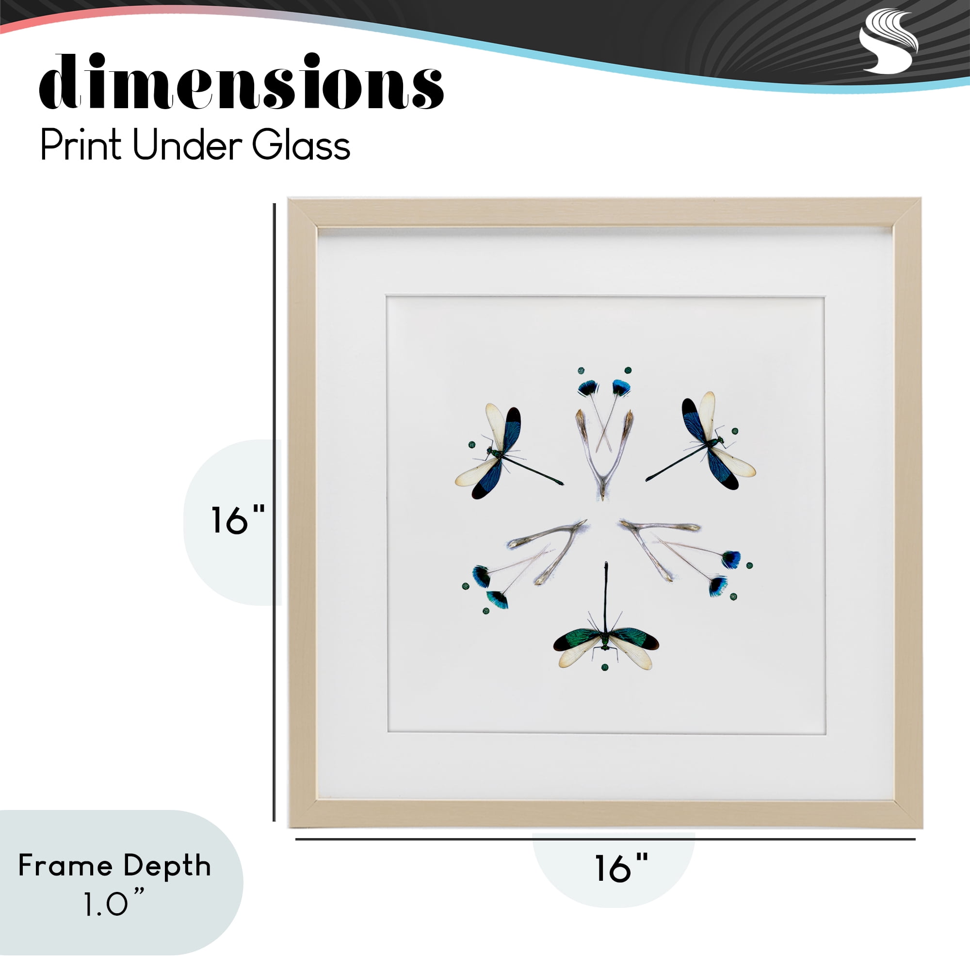 Stupell Industries Simple Dragonfly Symmetry Birch Framed Print Under Glass, design by Beth Adoette