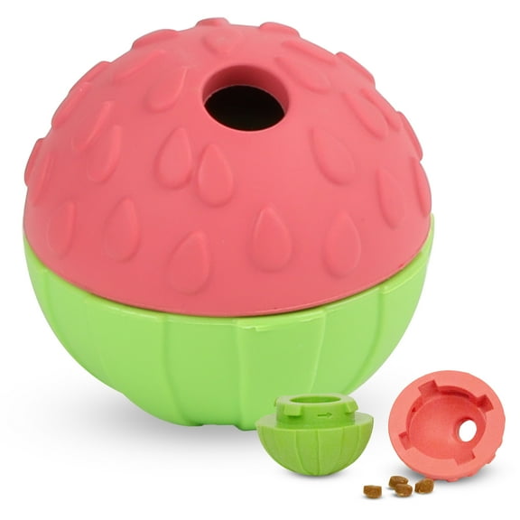 Brightkins Tough & Tumble 2-piece Watermelon, Puppy Essentials, Dog Birthday Treat Pouch Gifts