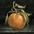 thumbnail image 2 of Caroline, Emma 20x20 Black Ornate Wood Framed with Double Matting Museum Art Print Titled - Dark Orange Deux II, 2 of 4