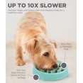 thumbnail image 3 of Outward Hound Fun Feeder Slo Bowl, Slow Feeder Dog Bowl, Small/Tiny, Mint, 3 of 5