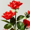 Pathways Funeral Services Obituariessoundnik - 2786vrh