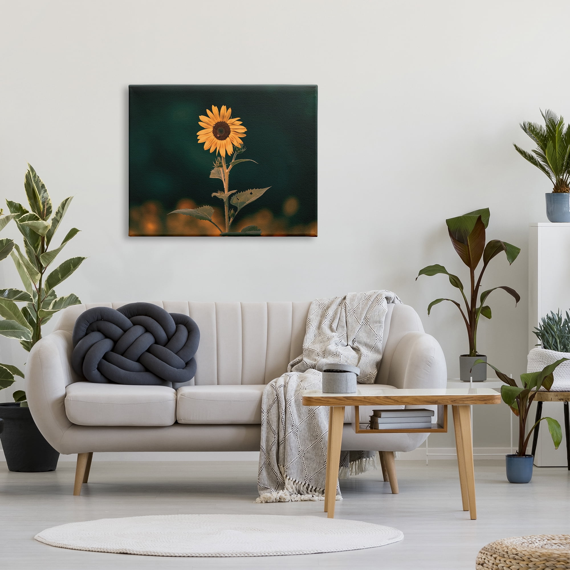 Stupell Industries Dark Sunflower Nature Botanical & Floral Photography Gallery Wrapped Canvas Art Print Wall Art, 40 x 30