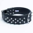 thumbnail image 5 of Spiked Studded Leather Dog Collar, Wide, Padded, Double-Ply, 26" x 2", Black. Stainless Steel (Amsterdam) Rottweiler, Cane Corso. Necks: 20" - 24", 5 of 5