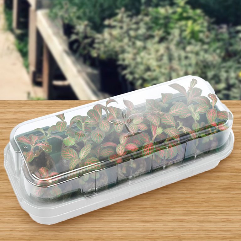  Gardzen 10-Pack Plant Growing Trays, Plastic Trays