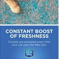 thumbnail image 4 of Fresh Step Cat Litter Crystals Deodorizer, Non Toxic Odor Neutralizing Crystals for Litter Boxes that Help Control Smells and Keep Home Areas Fresh, Fresh Scent, 15 Ounce, 4 of 4