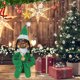 thumbnail image 3 of Snoop On The Stoop Christmas Elf Doll Fieltro Resina Muñecas Adorno (A) Verde, 3 of 8