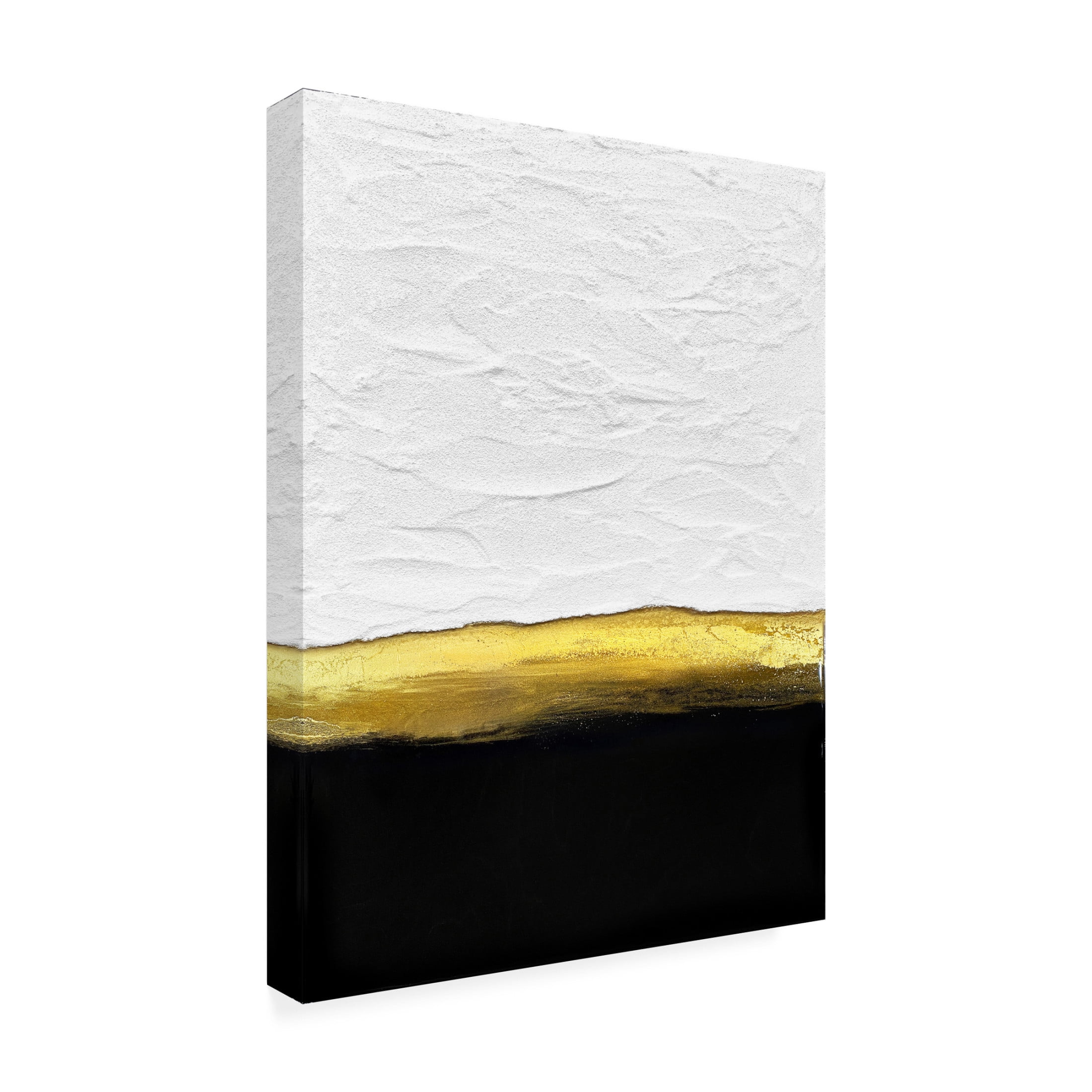 Trademark Fine Art Alyson Storms  Black and White Golden Night Canvas Wall Art