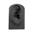thumbnail image 3 of pitrice Accessoire d'Exposition d'Outil Pédagogique Modèle d'Oreille Souple en Silicone Noir, 3 of 9