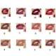 thumbnail image 3 of 6 Brillo de labios 2 en 1, lápiz labial mate resistente al agua, lápiz labial antiadherente de larga duración, 3 of 5