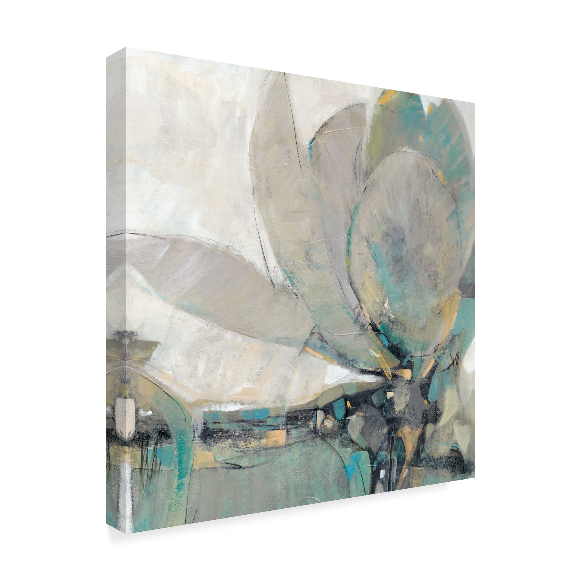 Trademark Fine Art 'Revel II' Canvas Art by Tim OToole