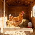 thumbnail image 7 of Chicken Coop Swing Toy Large Wooden Bird Swing Ladder, Brown 43in Perch for Medium Large Parrots, Colorful Beads, Hanging Exercise Play St, 7 of 7