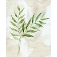 thumbnail image 2 of Nan 20x24 White Modern Wood Framed Museum Art Print Titled - Botanical Bliss I, 2 of 4