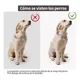thumbnail image 3 of Collar De Púas Para Adiestramiento De Perros, Collar De Pell, 3 of 6