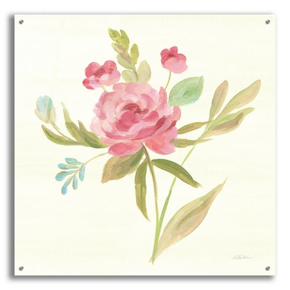 Epic Art 'Petals and Blossoms V' by Silvia Vassileva, Acrylic Glass Wall Art, 36"x36"