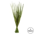 thumbnail image 5 of Vickerman 28-32" Basil Wild Flax Grass. Comes in 12oz (3 -4 oz Bundles), Dried, 5 of 5