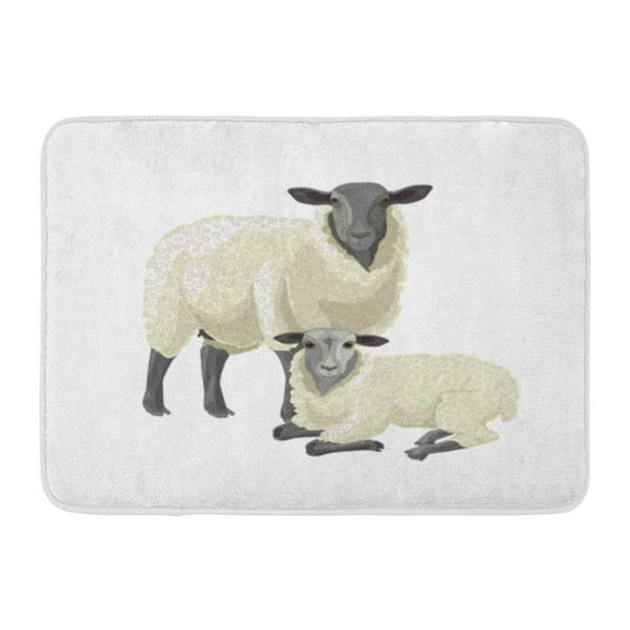POGLIP Gray Wool of Sheep Lamb Agriculture Attribute Big Bio Doormat Floor Rug Bath Mat 23.6x15.7 inch