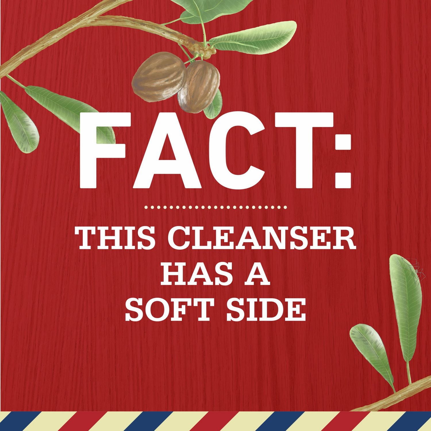 Old Spice Moisturize with Shea Butter, Shampoo for Men