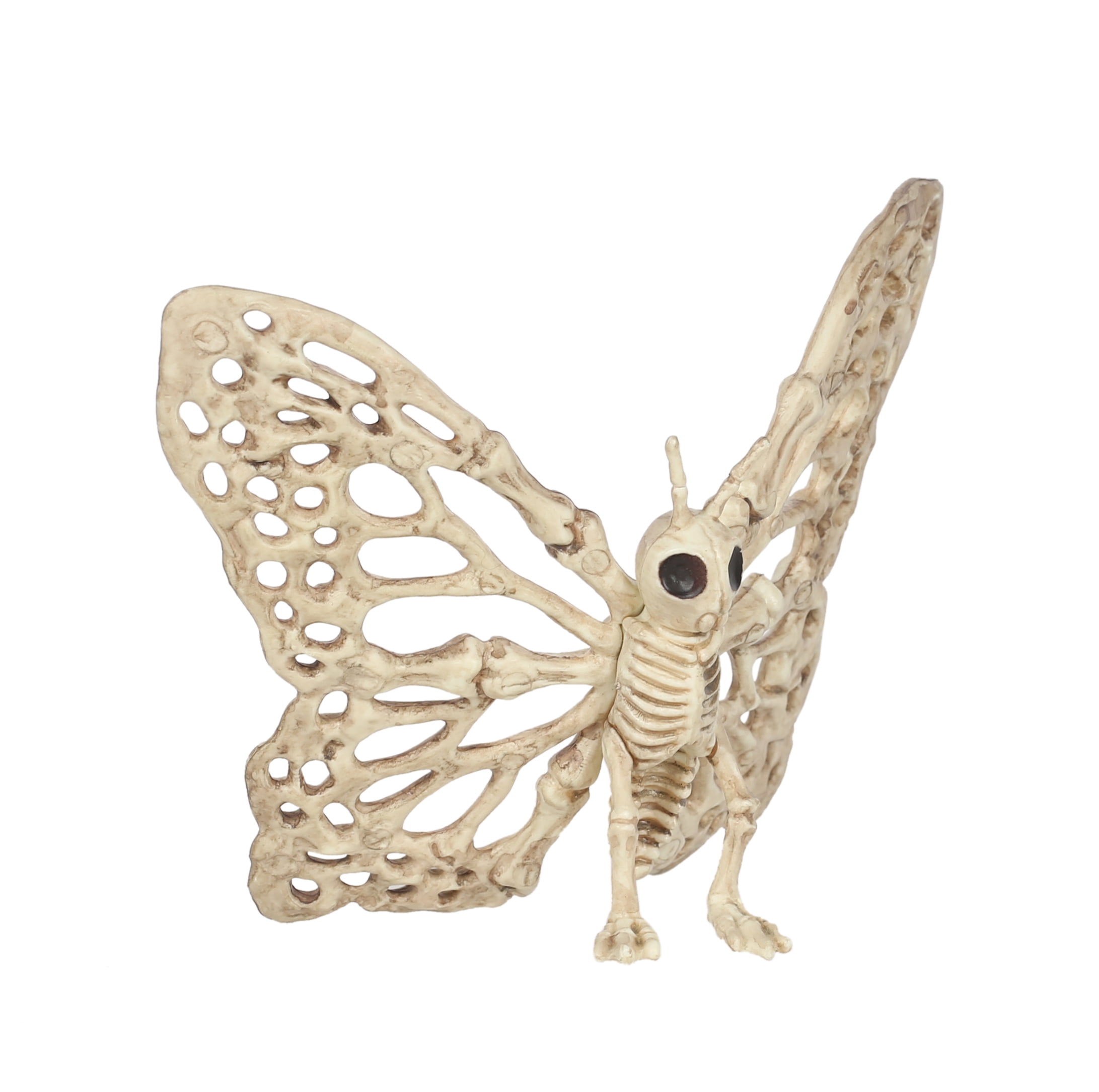 Way To Celebrate Halloween Skeleton Butterfly