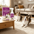 thumbnail image 4 of VELIMO Enzymatic Pet Stain & Odor Remover for Carpets | Dog Cat Urine Carpet Cleaner 120Ml for Rugs,Upholstery and Household Cleaning, 4 of 7