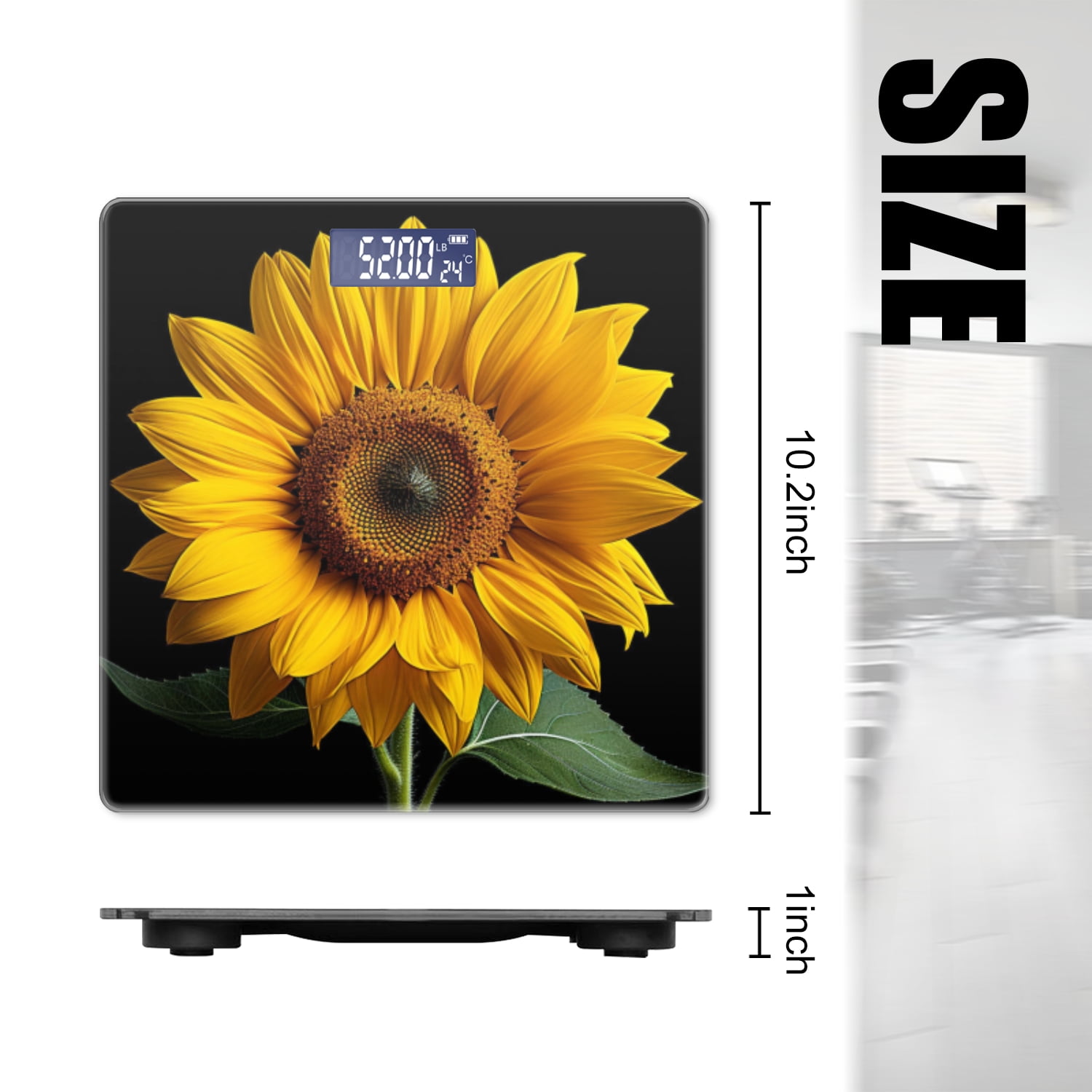 Bathroom Scale, Highly Accurate Digital Body Scale,Precisely Measures Weight up to 400 lbs-Beautiful Sunflower Olated On Black Background