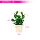 thumbnail image 2 of Bonsái de cactus artificiales, plantas tropicales artificiales, decoraciones creativas, 2 of 5