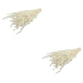thumbnail image 1 of Ramo seco de caña de flores secas Cateissary 30 piezas decoración para fiesta de boda, 1 of 6