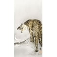thumbnail image 2 of Koson, Ohara 18x32 Gold Ornate Wood Framed with Double Matting Museum Art Print Titled - Roaring tiger, 2 of 4