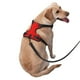 thumbnail image 2 of Fotbe Red Arnés para Perro con Estampado –Chaleco Ajustable Acolchado con Asa de Control para Perros Grandes-Medium, 2 of 6