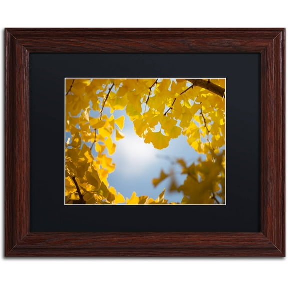 Trademark Fine Art "Ginkgo Leaves in Autumn" Canvas Art by Philippe Sainte-Laudy Black Matte, Wood Frame