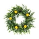 thumbnail image 2 of Plantas Verdes Artificiales de Eucalipto, Limones y Corona Falsa para Decoración Del Hogar y Restaurantes, 2 of 6