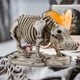 thumbnail image 5 of Estatua de esqueleto de hipopótamo, escultura animal, decoración de Halloween, artesanía creativa, adorno de escritorio para dormitorio, estante, sala, 5 of 6