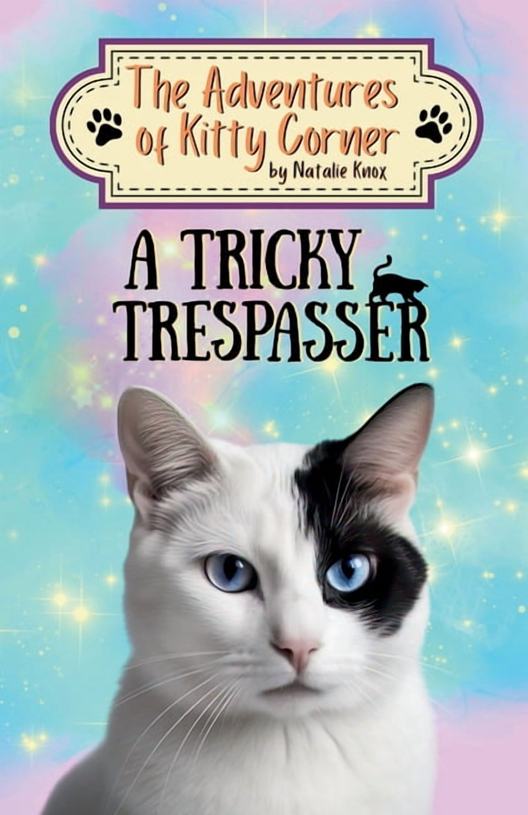 The Adventures of Kitten Kitten the Ninja Cat, Book 1, (Hardcover