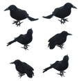 thumbnail image 4 of 3/6Pcs Halloween Black Crow Model Simulation Fake Bird Animal Scary Toys For Halloween Party Home Decoration Horror Props, 4 of 5