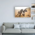 thumbnail image 3 of Trademark Fine Art 'Bjarni and Imir I' Canvas Art by Laura Marshall, 3 of 3