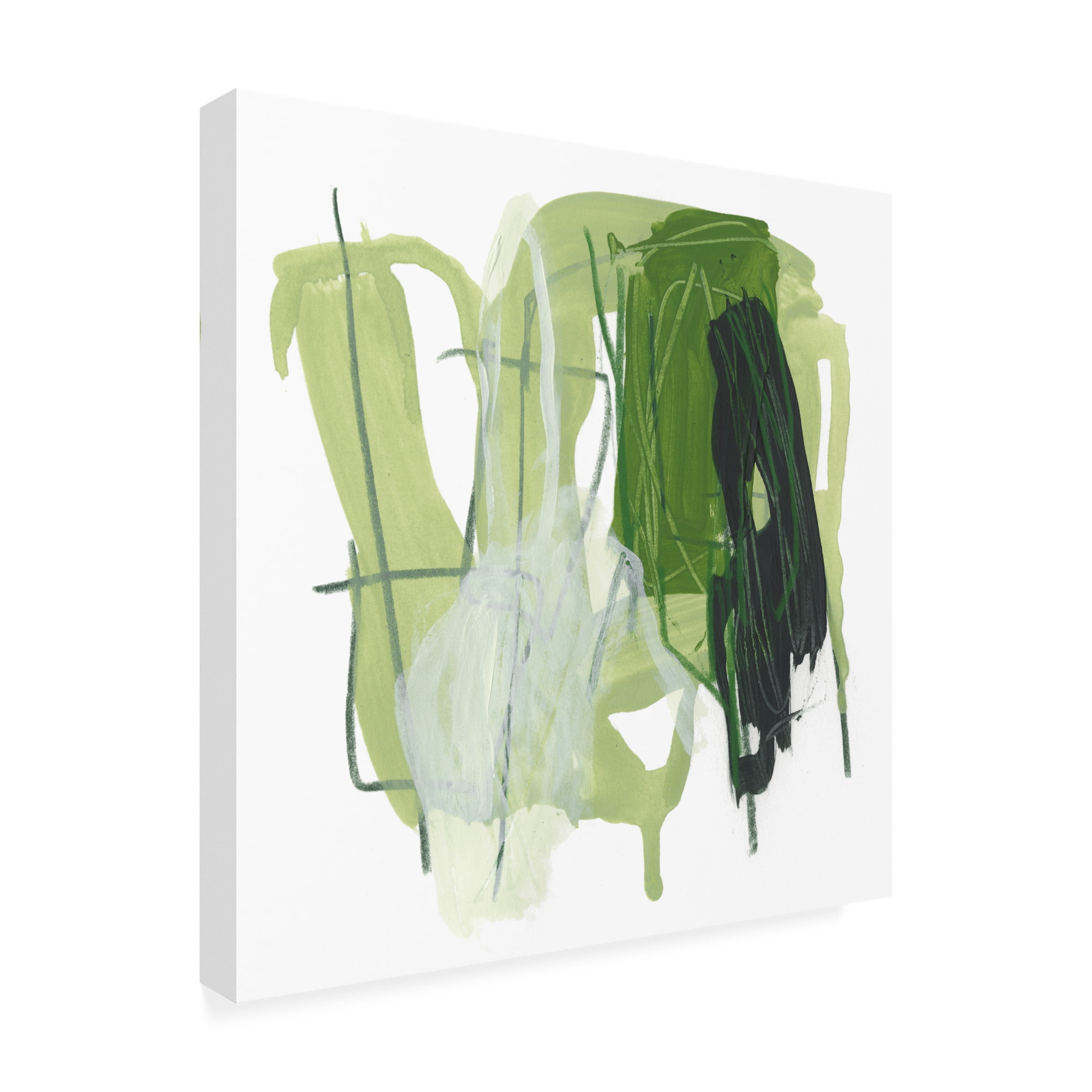 June Erica Vess 'Jade Schematic VII' Canvas Art