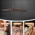 thumbnail image 4 of BESTYASH 1Set Reptile Carpet EVA Material for Bearded Dragon Substrate and Terrarium Setup 15.7x5.9x0.04In, 4 of 7