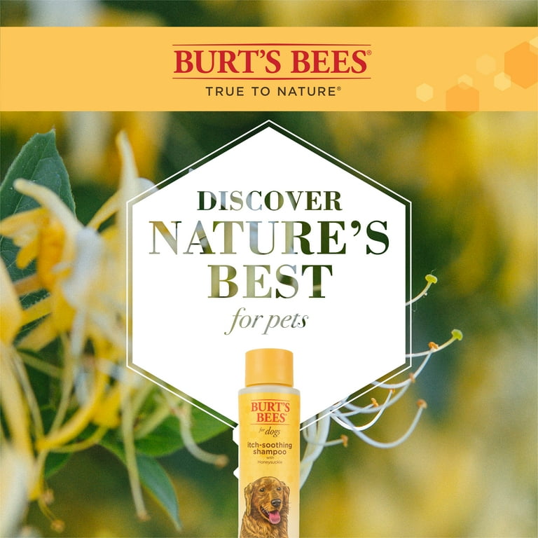 Burt's bees itch soothing dog shampoo reviews cheap
